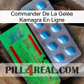 Commander De La Gelée Kamagra En Ligne new03